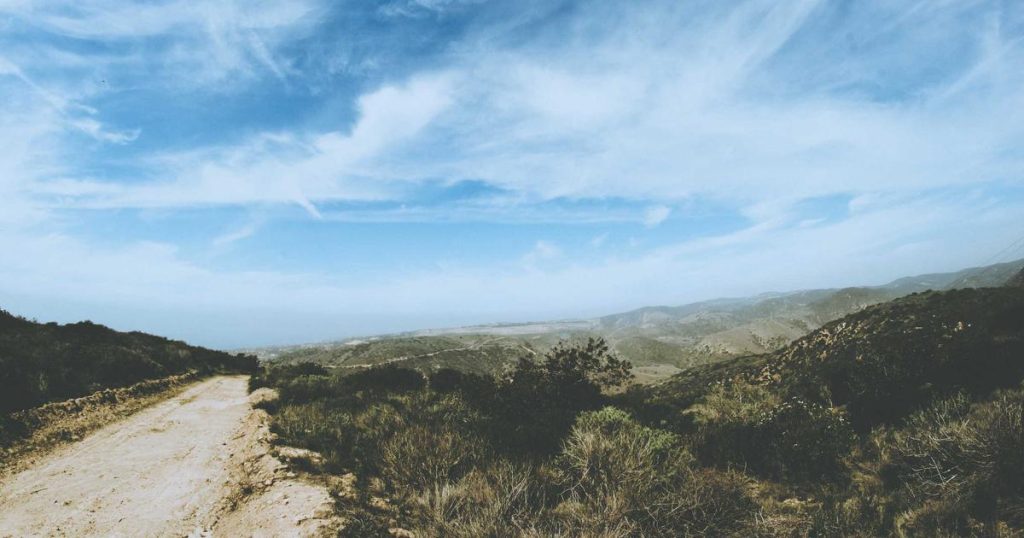 محاكمة تورنادو كاش