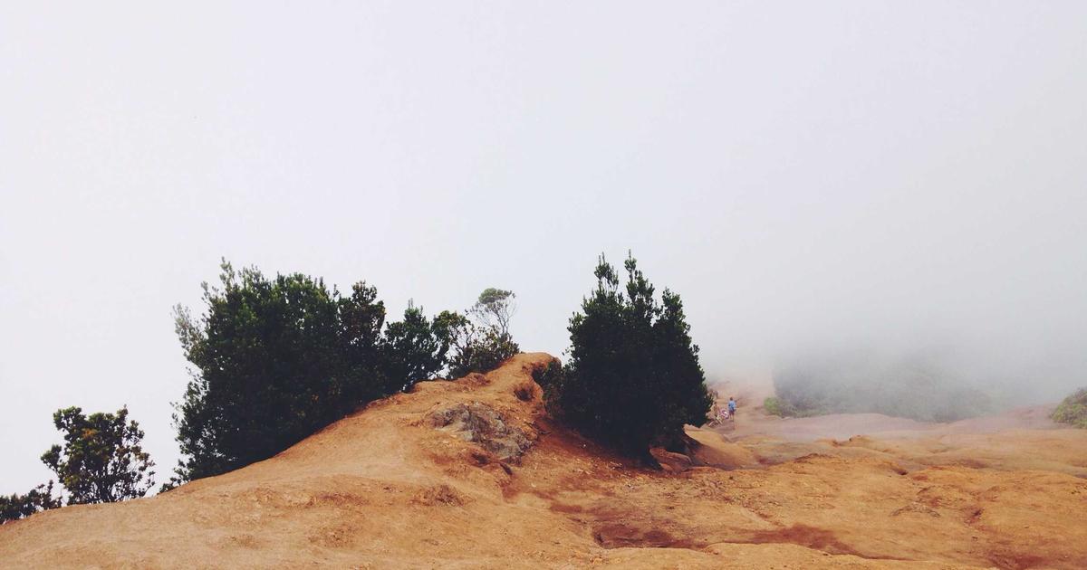 وكلاء الذكاء الاصطناعي يفضلون البيتكوين على العملات الورقية