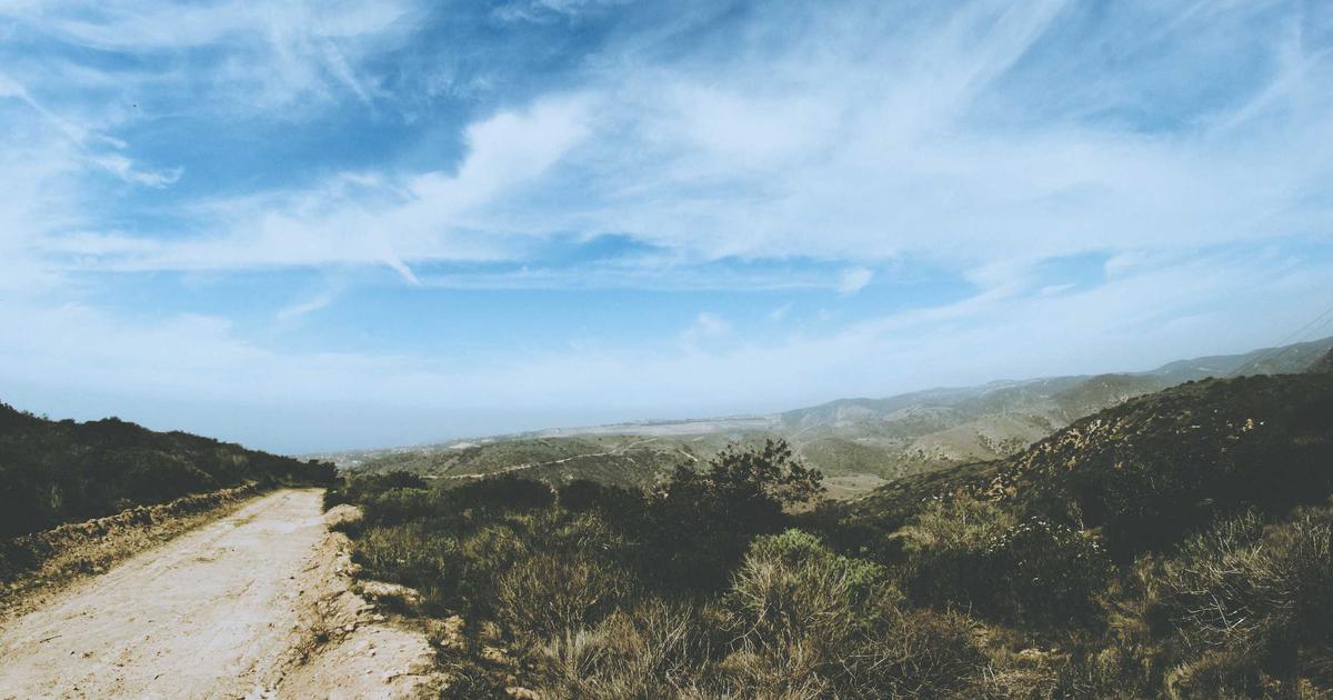 سولانا تواجه تصحيح حاد وتفقد مكاسبها الأسبوعية